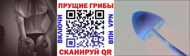 Галлюциногенные грибы мухоморы  Елабуга 